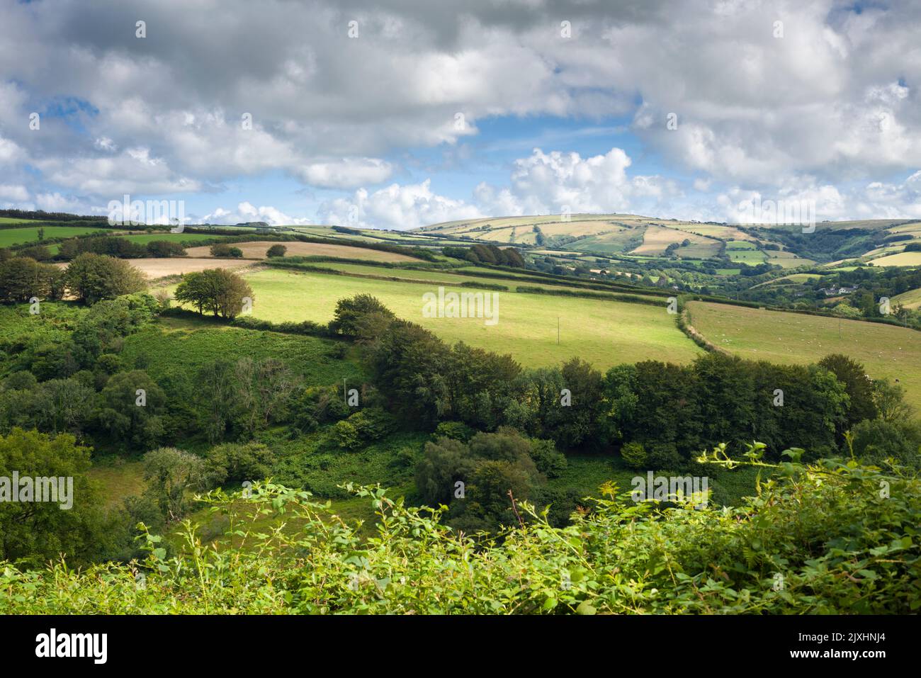 The view over Heddon Valley from southern slope of Heale Down with Challacombe Common beyond, Exmoor National Park, North Devon, England. Stock Photo