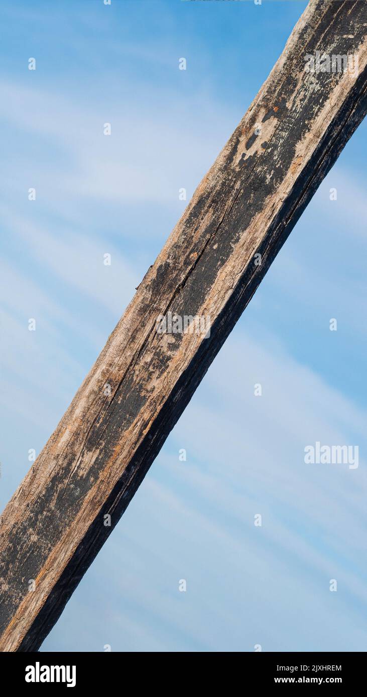 Vertical dark brown narrow plank log hard wood bark surface texture stem background sky sea board Stock Photo