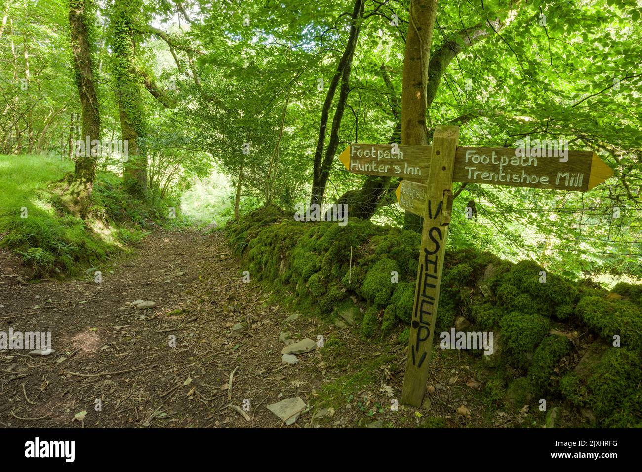 A wooden signpost below Trentishoe Down on the footpath between The Hunters Inn and Mill Ham near the Heddon Valley in the Exmoor National Park, North Devon, England. Stock Photo