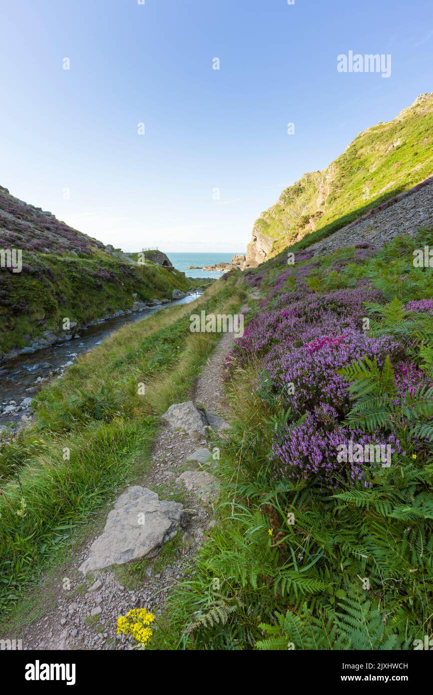 The Heddon Valley in late summer with Heddon’s Mouth beyond in the Exmoor National Park, North Devon, England. Stock Photo