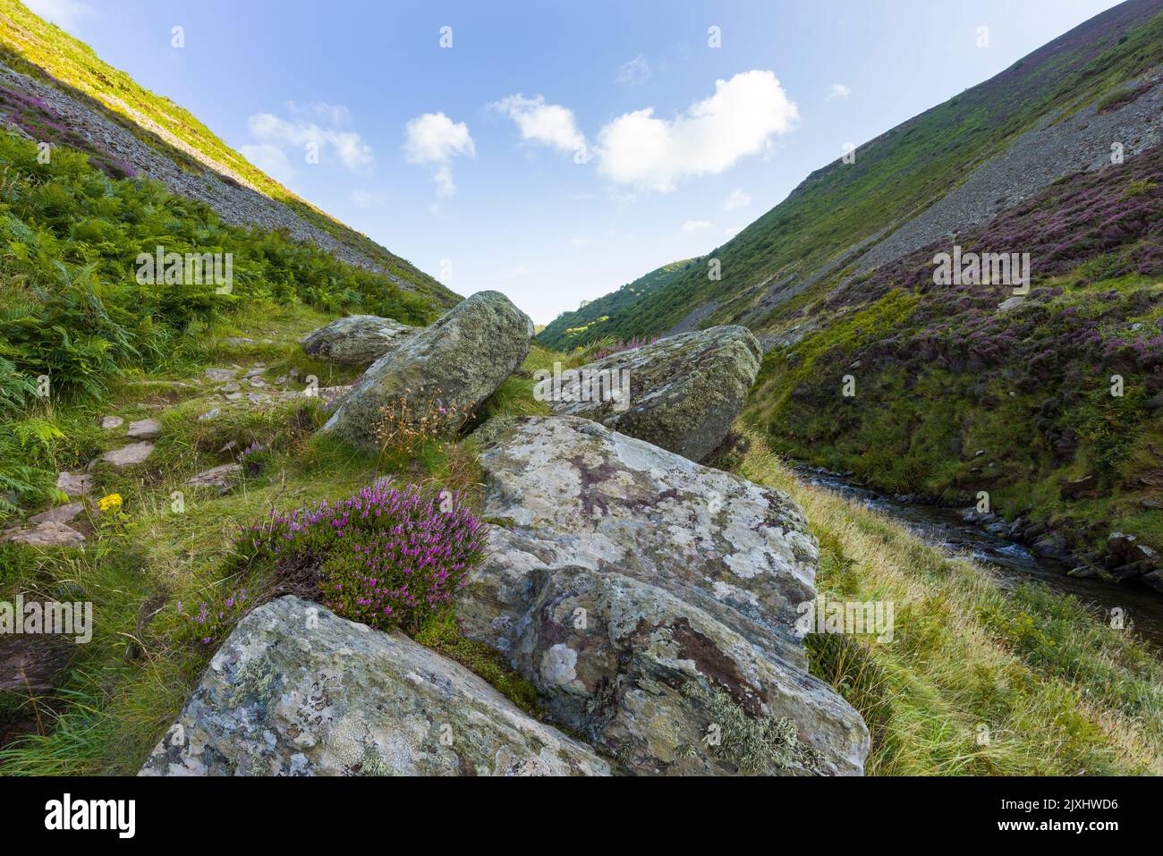 The Heddon Valley in late summer in the Exmoor National Park, North Devon, England. Stock Photo