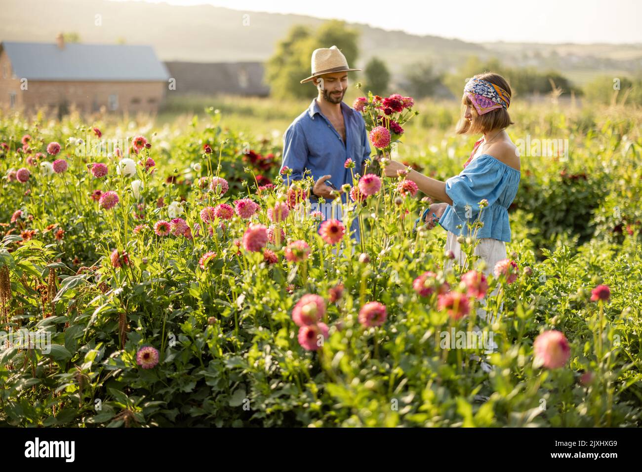 Man and woman pick up flowers at farm outdoors Stock Photo Alamy
