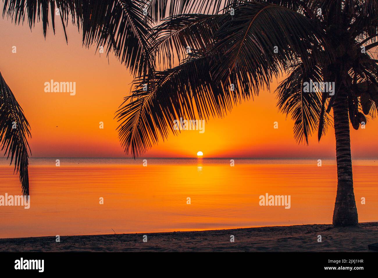 Scene from Hopkins Village in Sout Stock Photo