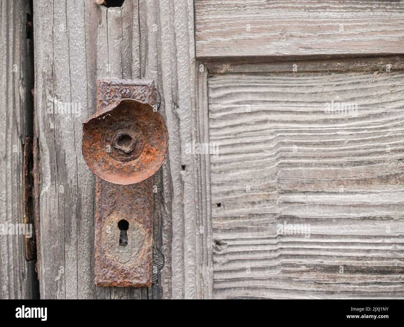 Rusty damaged door knob and lock plate fitted to wooden weathered door ...