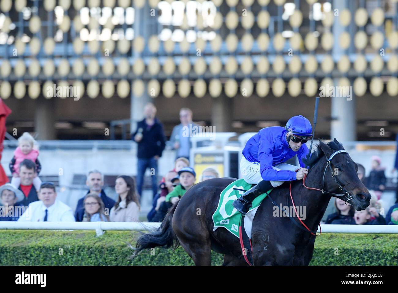 Jockey Tye England rides Philosophy to win race 8, the Tab.com.au ...