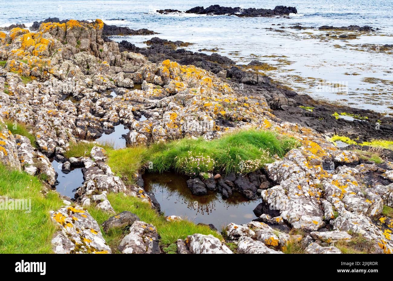 variety of rocks in rockpools on the foreshore in scotland Stock Photo ...