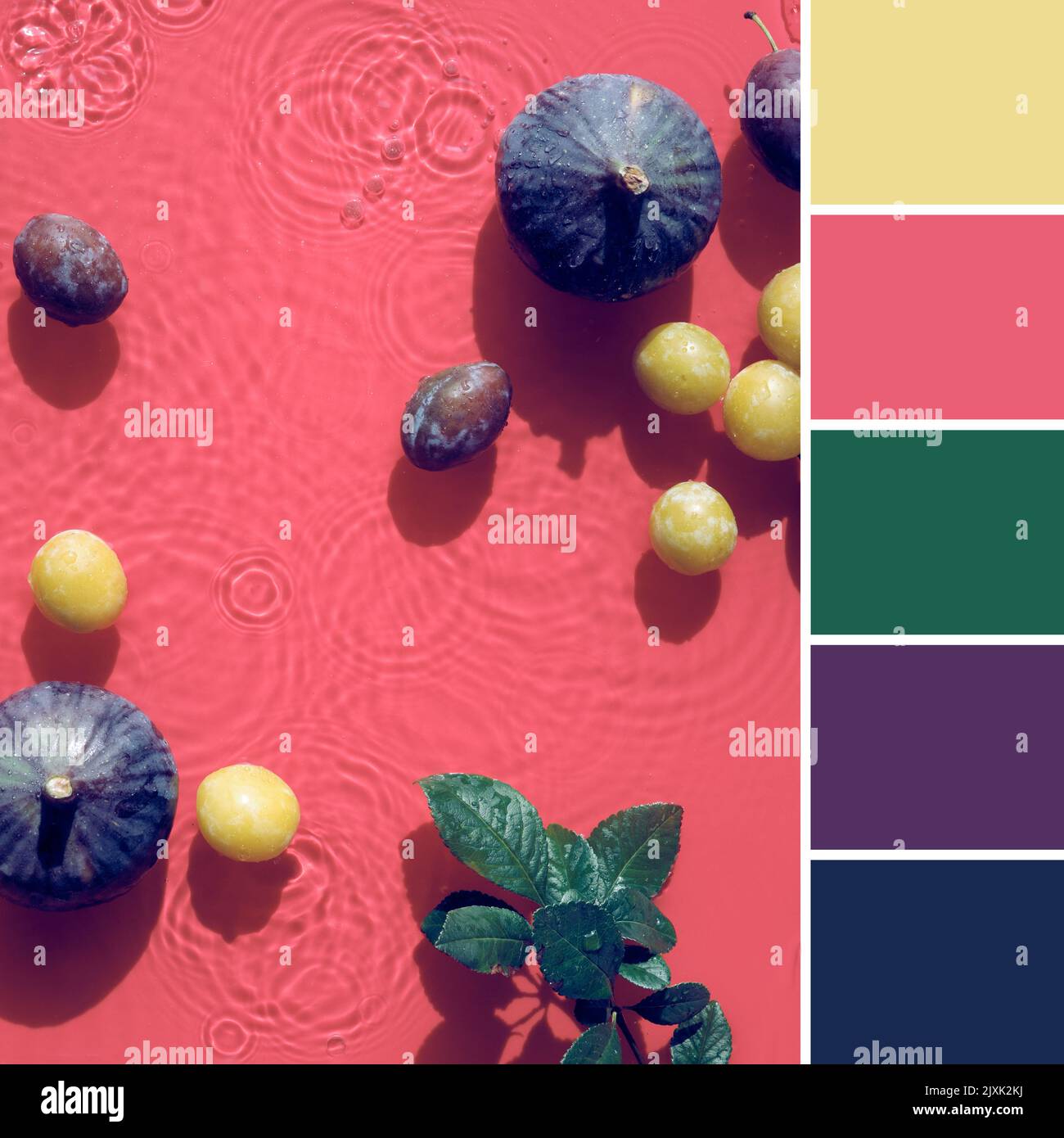 Color matching palette from image of exotic fruits in splashing water
