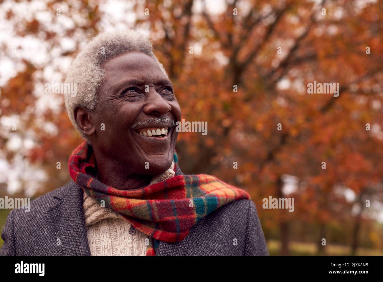 Head And Shoulders Portrait Of Senior Man On Walk Through Autumn Countryside Against Golden Leaves Stock Photo