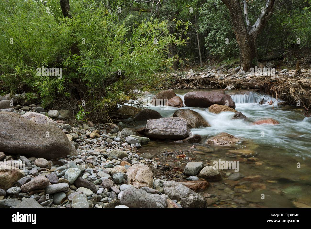 Beautiful flowing creek water is natual tranquility in Chiricahua Mountains of Cave Creek Canyon in Portal, Arizona, USA Stock Photo