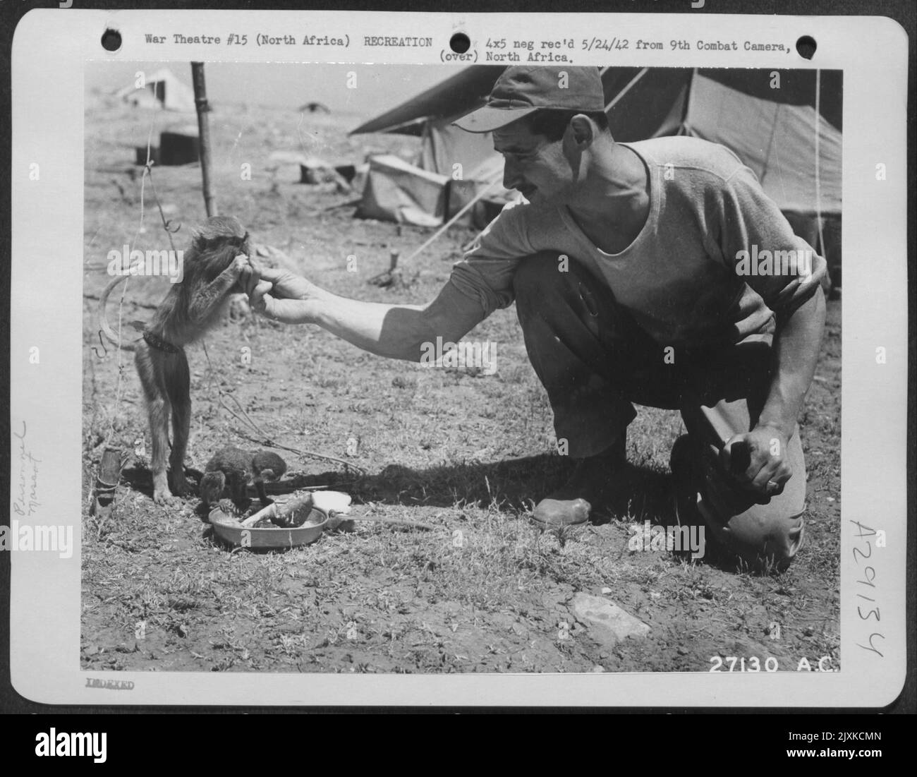 T/Sgt. Livingston from Topeka, Kansas playing with his pet monkey. Stock Photo