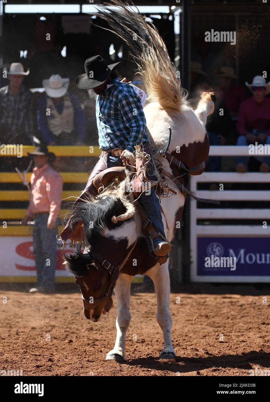 Gavin Fry competes in the Saddle Bronc event at the Mount Isa Mines ...