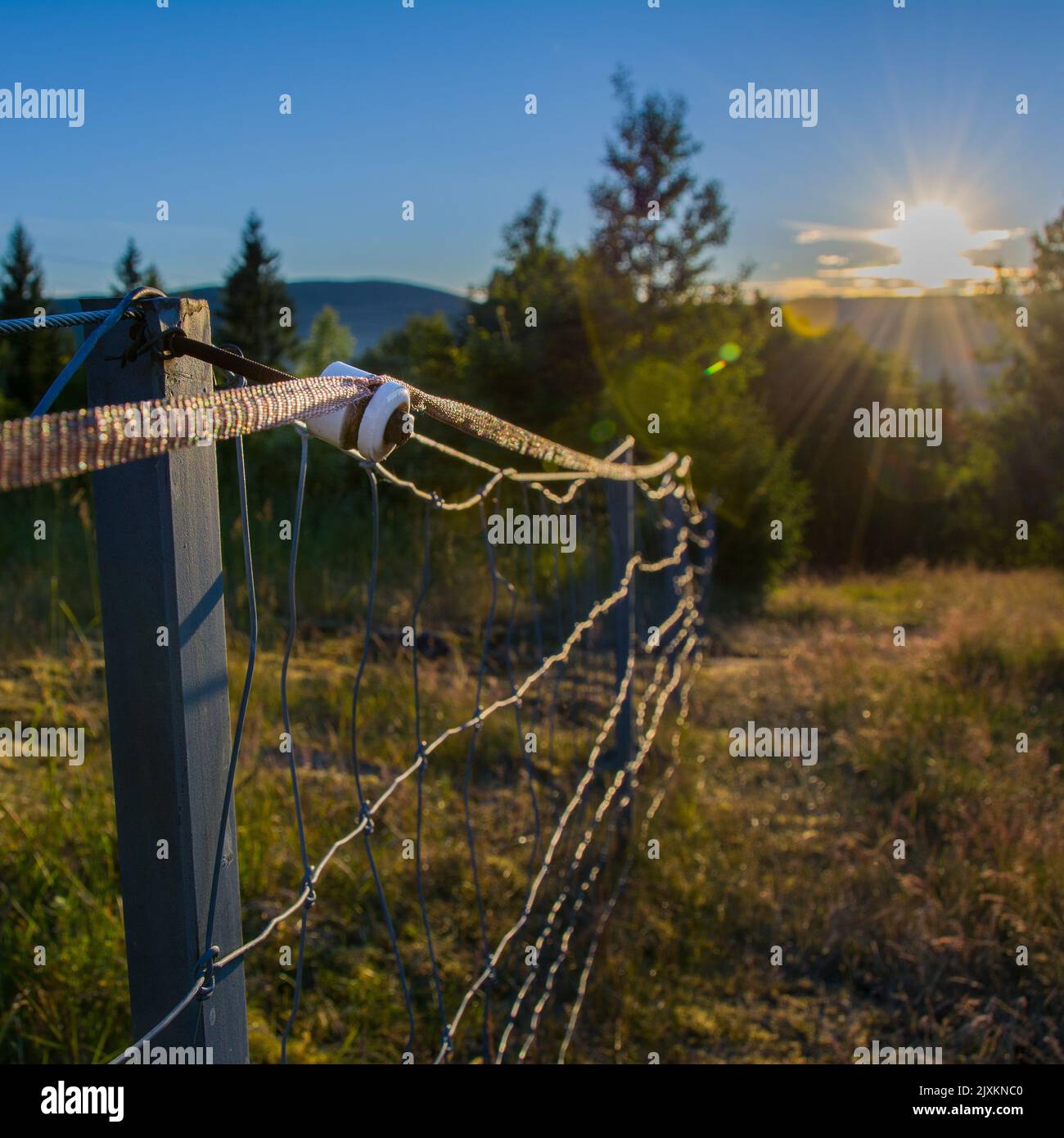 A steel fence in a farmland with sun rays in the background in Lier, Buskerud, Norway Stock Photo