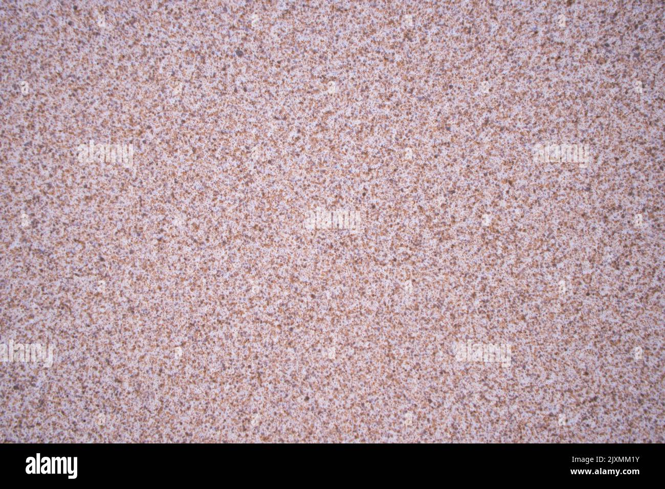 A decorative detailed plaster textured wall background Stock Photo - Alamy