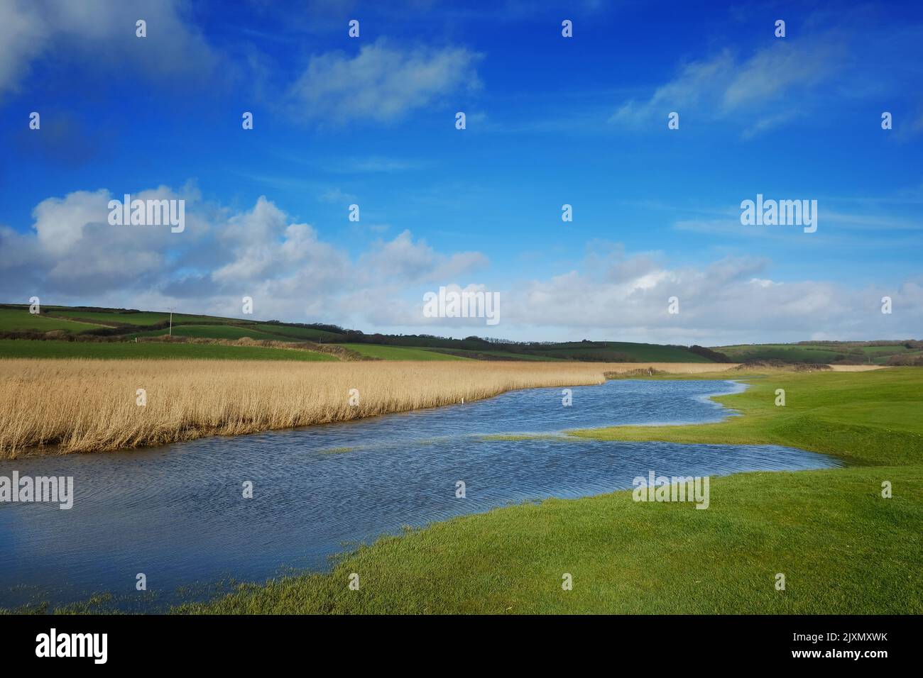 Flooded wetlands at Gunwalloe, Cornwall, UK - John Gollop Stock Photo