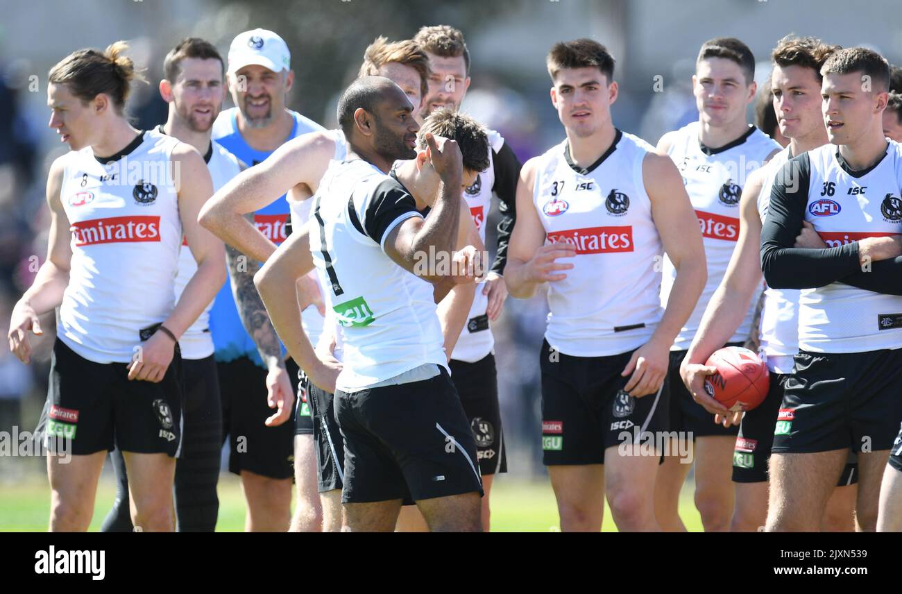 Collingwood Magpies player Travis Varcoe (fourth left) is seen after ...