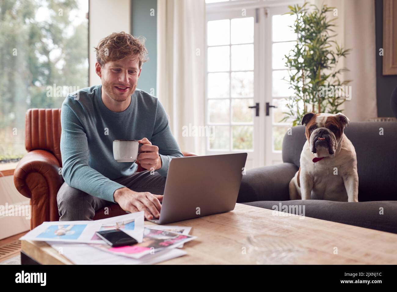 Man Working From Home In Creative Design Or Marketing Industry Checking Artwork With Pet Bulldog Stock Photo