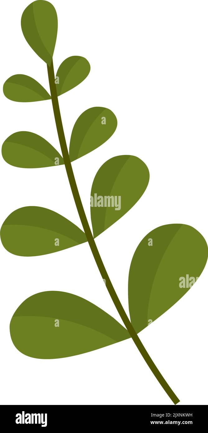 leaves foliage icon Stock Vector Image & Art - Alamy