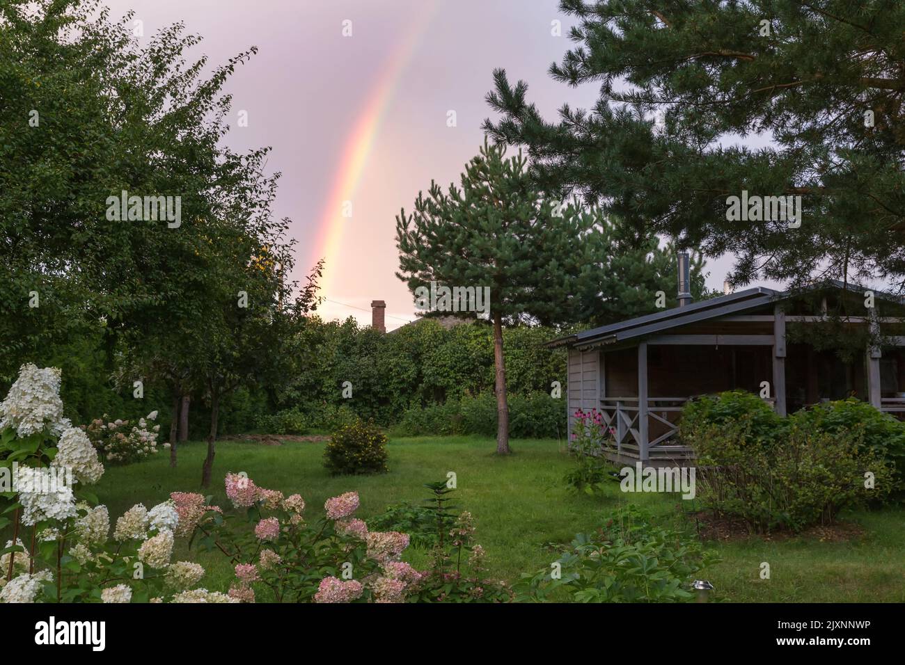 Small country house on a summer evening. Rainbow over the house. Beautiful sunset. Hydrangea flowers in the garden Stock Photo