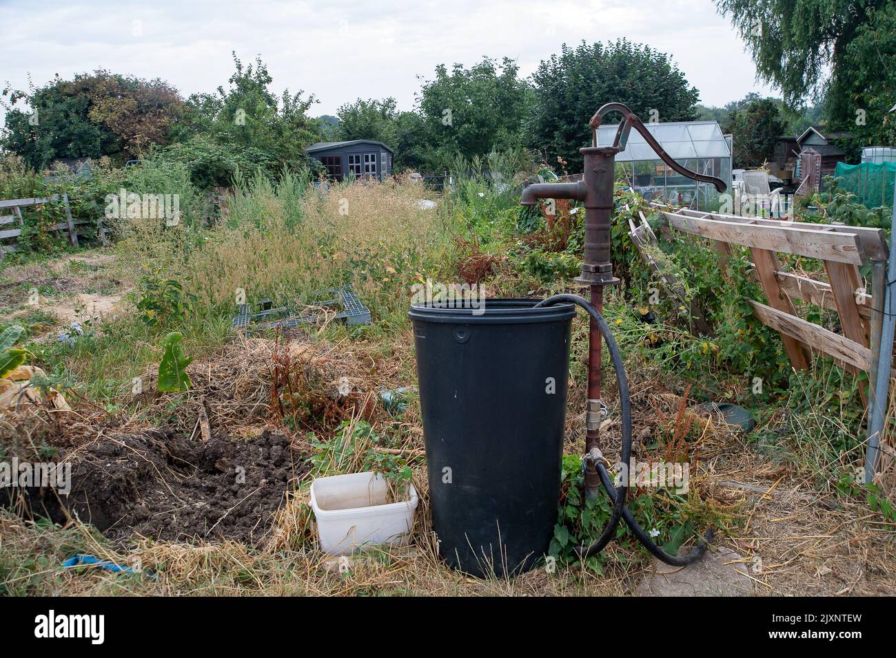 Eton Wick, Windsor, Berkshire, UK. 16th August, 2022. Gardeners at the