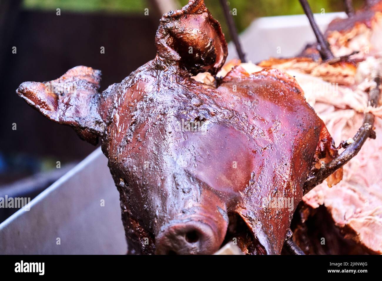 Dark marinated head of a pig cooking on a rotisserie grill Stock Photo