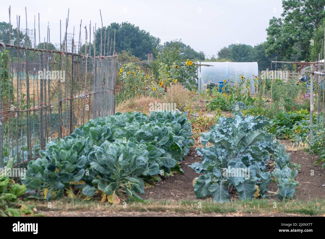 Two water butts hires stock photography and images Alamy