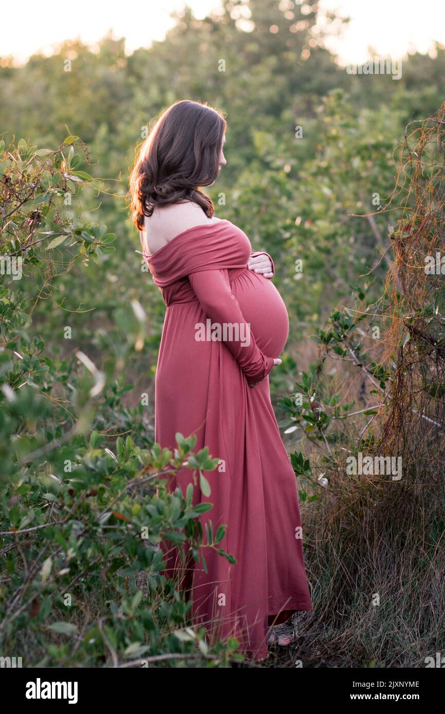 open lace back dress Sakira Two Piece Gauze Maternity Dress for Family Photoshoot Xs-M / Terra