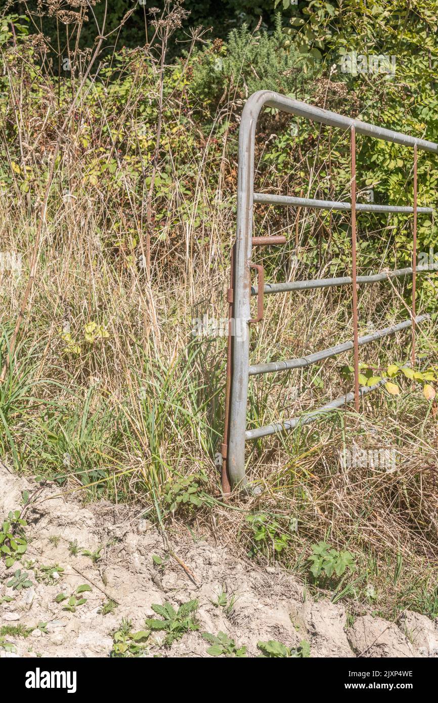 Open galvanized steel metal farm gate in summer sunshine. Surrounding plants & soil parched by 2022 hot summer weather. For UK farming & agriculture. Stock Photo