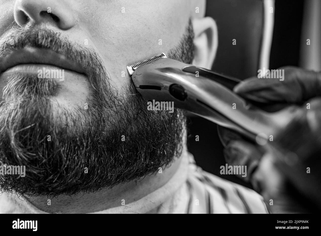 Man getting his beard trimmed with electric razor in barbershop. Black and white image. Stock Photo