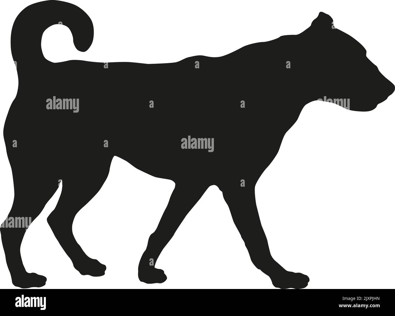 Dog Silhouette Illustration New Year card Canidae, Dog, mammal, face png |  PNGEgg, image size:1300x1041