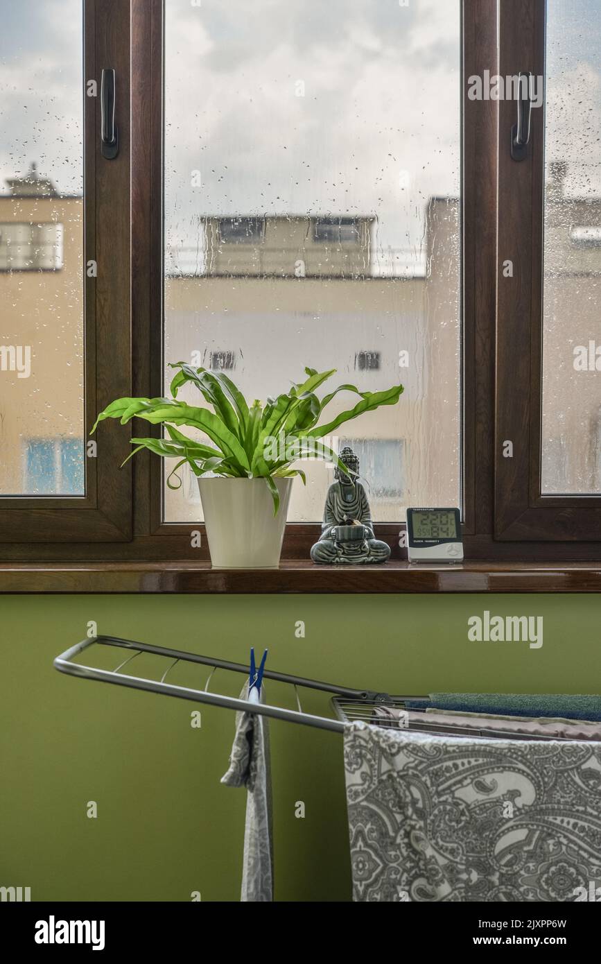 Digital tempurature and humidity sensor with house plant and linen ...