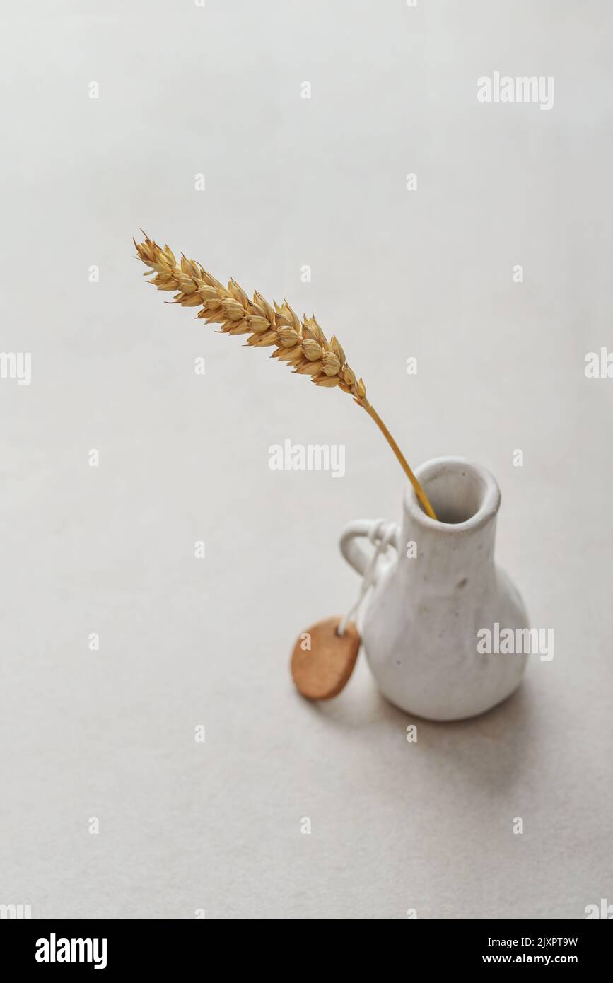 Tiny vase with one spikelet of wheat on light concrete background close up Stock Photo