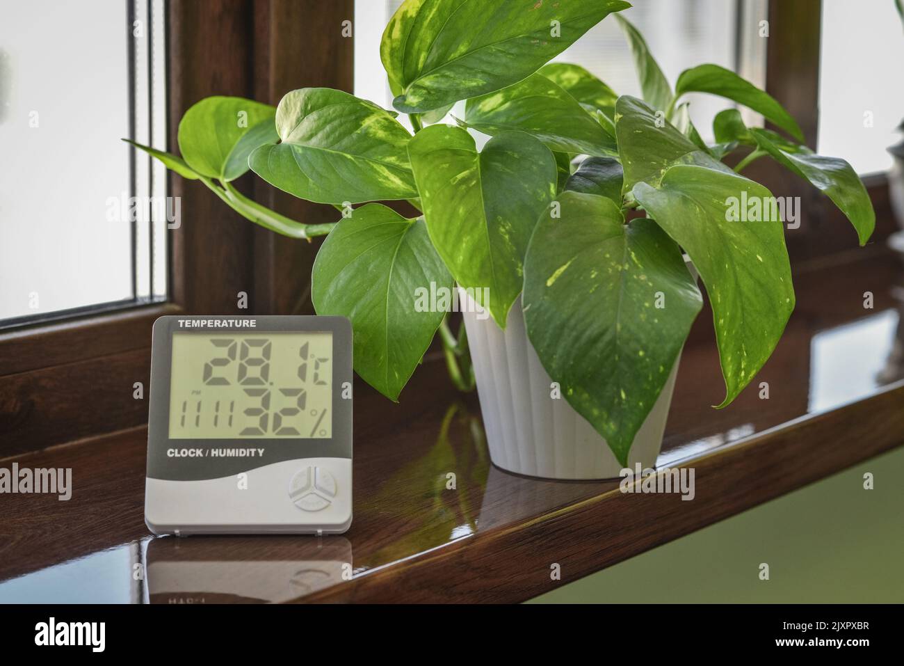 Thermometer hygrometer measuring the optimum temperature and humidity