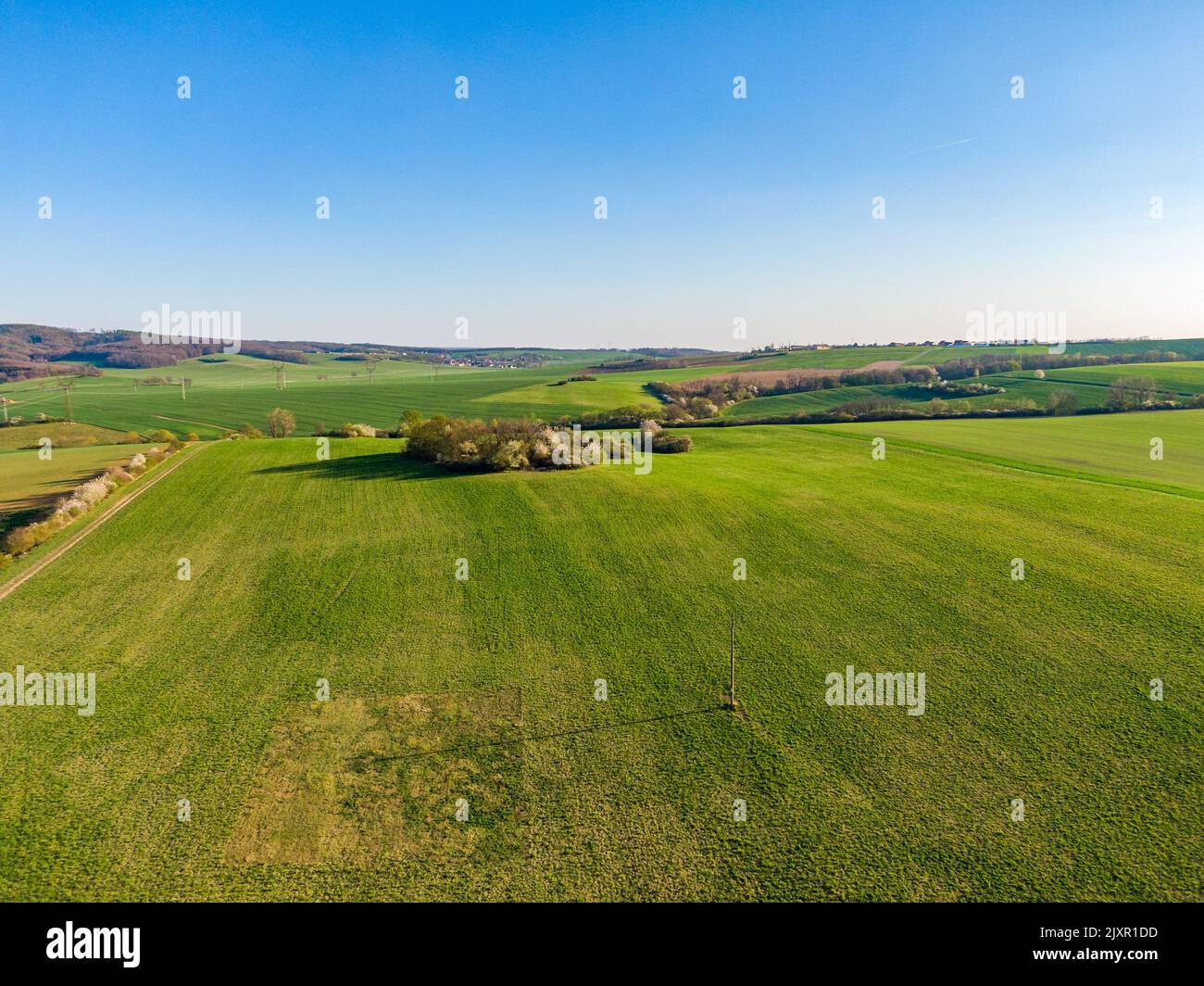 Aerial view of agriculture land. Fields and meadow during sunny summer ...