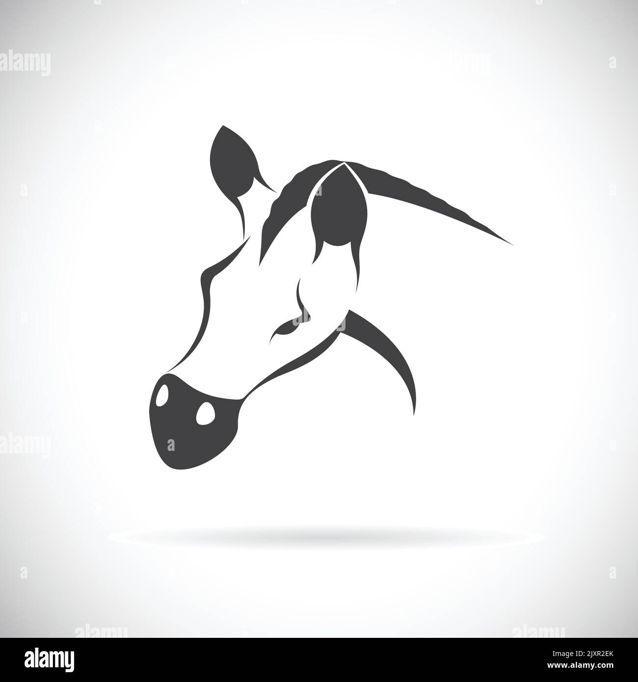 Vector image of a horse head on white background. Easy editable layered ...