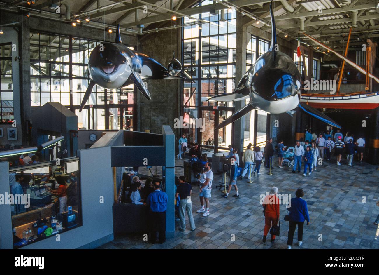 Inside the Monterey Bay Aquarium in 1990, California, USA Stock Photo