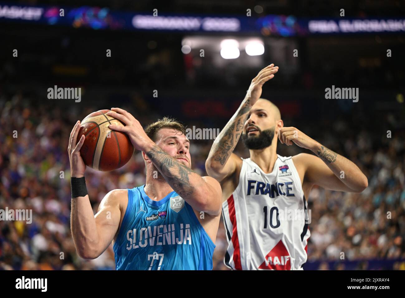 Evan fournier hi-res stock photography and images - Alamy