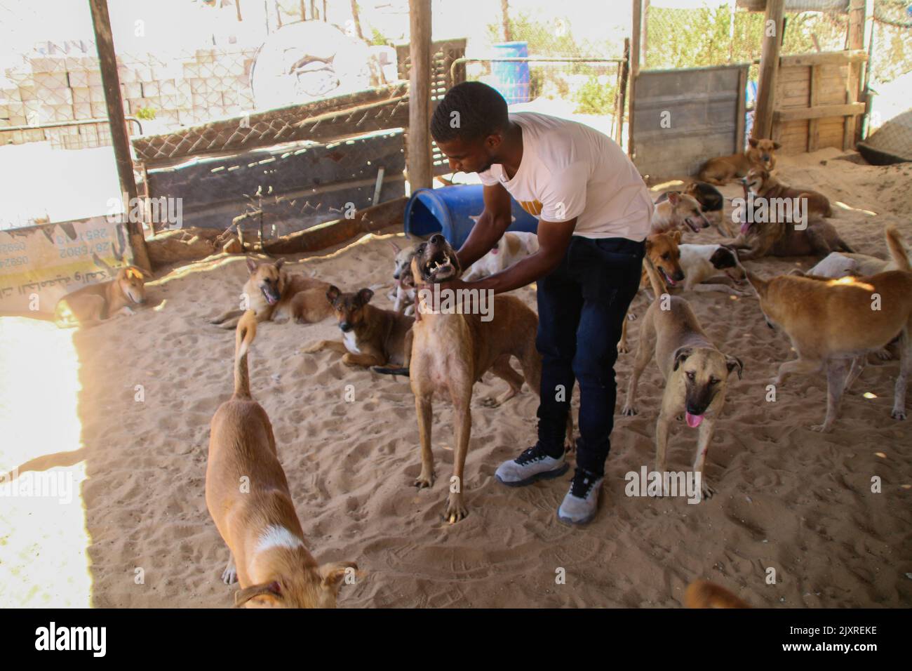 Sulala society hires stock photography and images Alamy