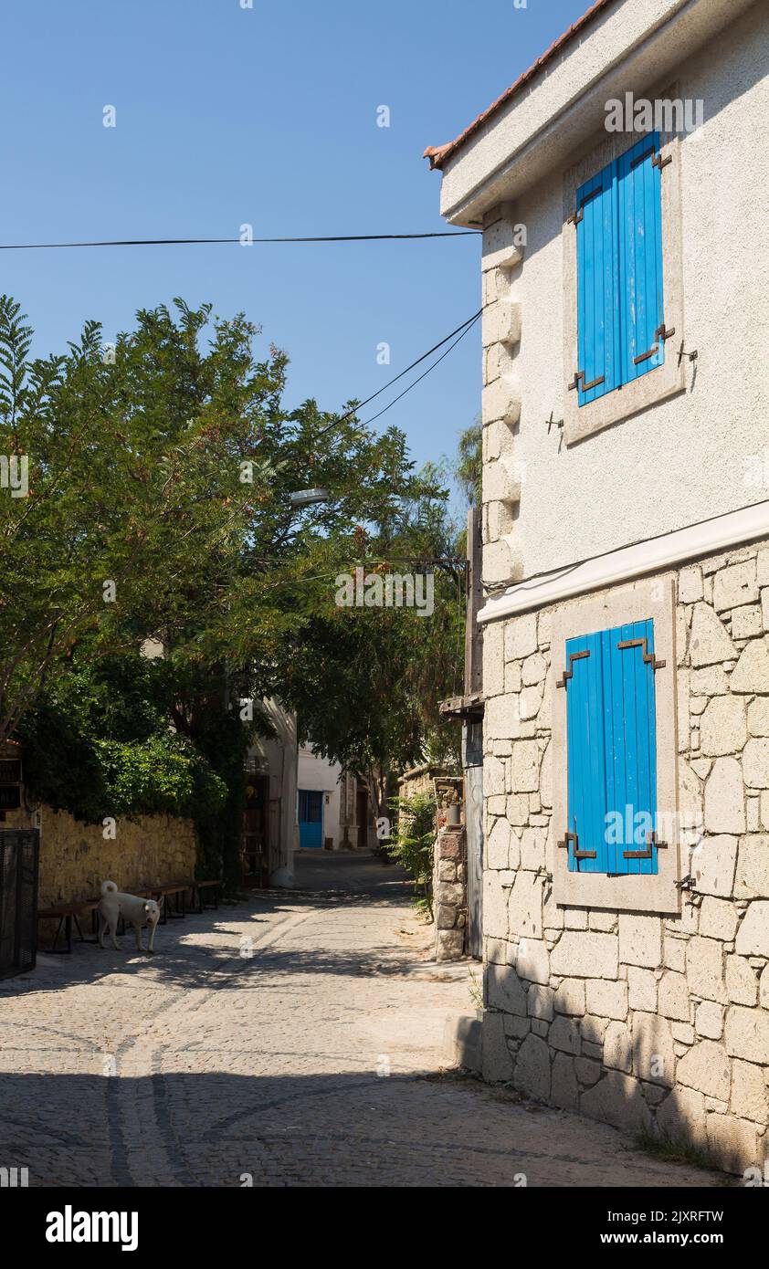 View of old, historical, traditional stone house and a stray dog in famous, touristic Aegean town called Alacati. It is a village of Cesme, Turkey. It Stock Photo