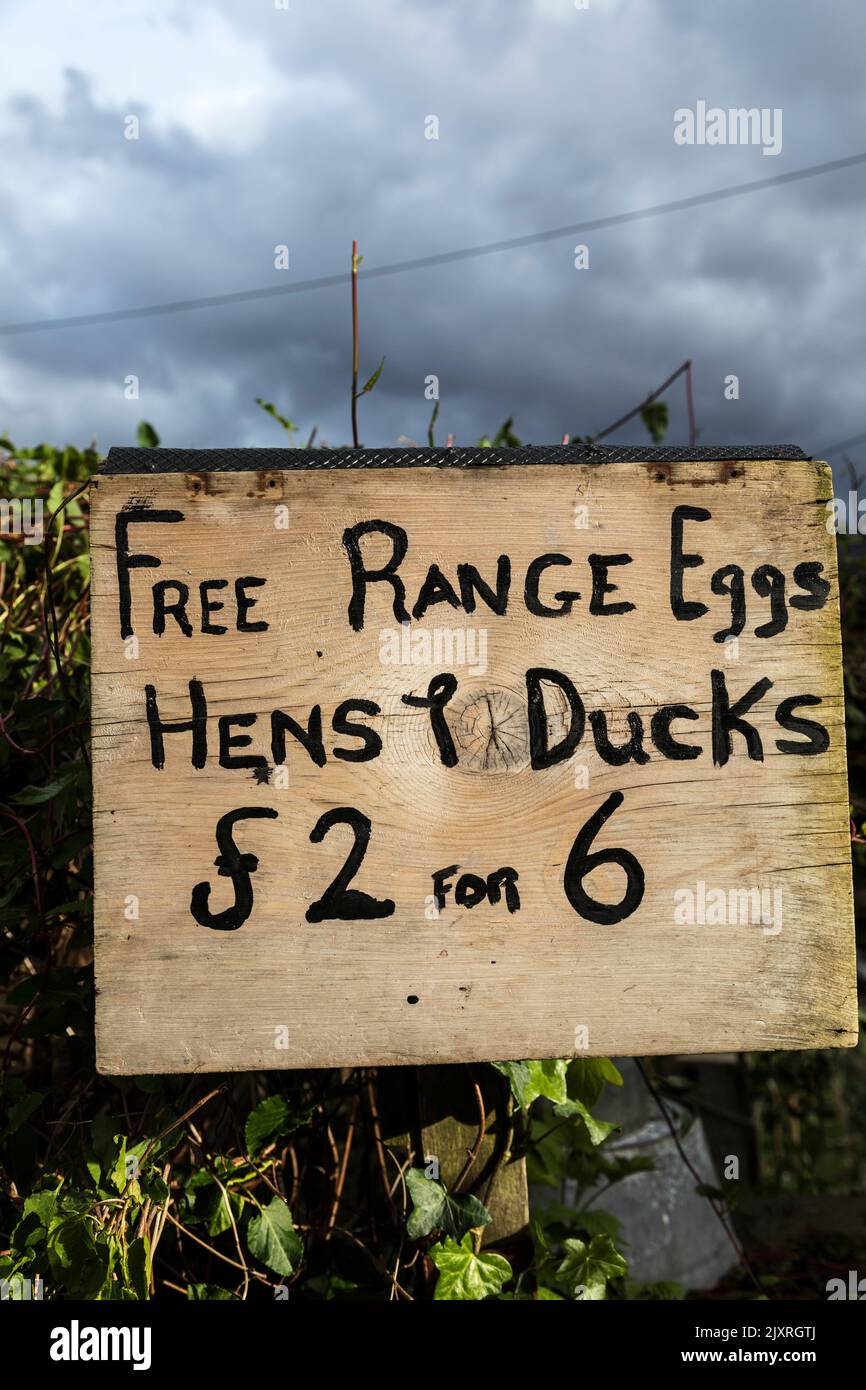 Wooden sign promoting free range hen and duck eggs for sale, Scotland