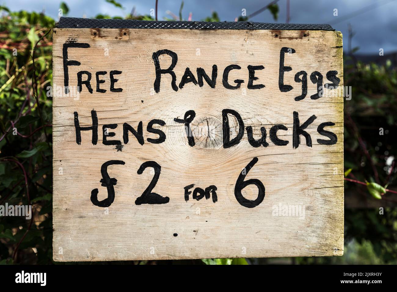 Wooden sign promoting free range hen and duck eggs for sale, Scotland