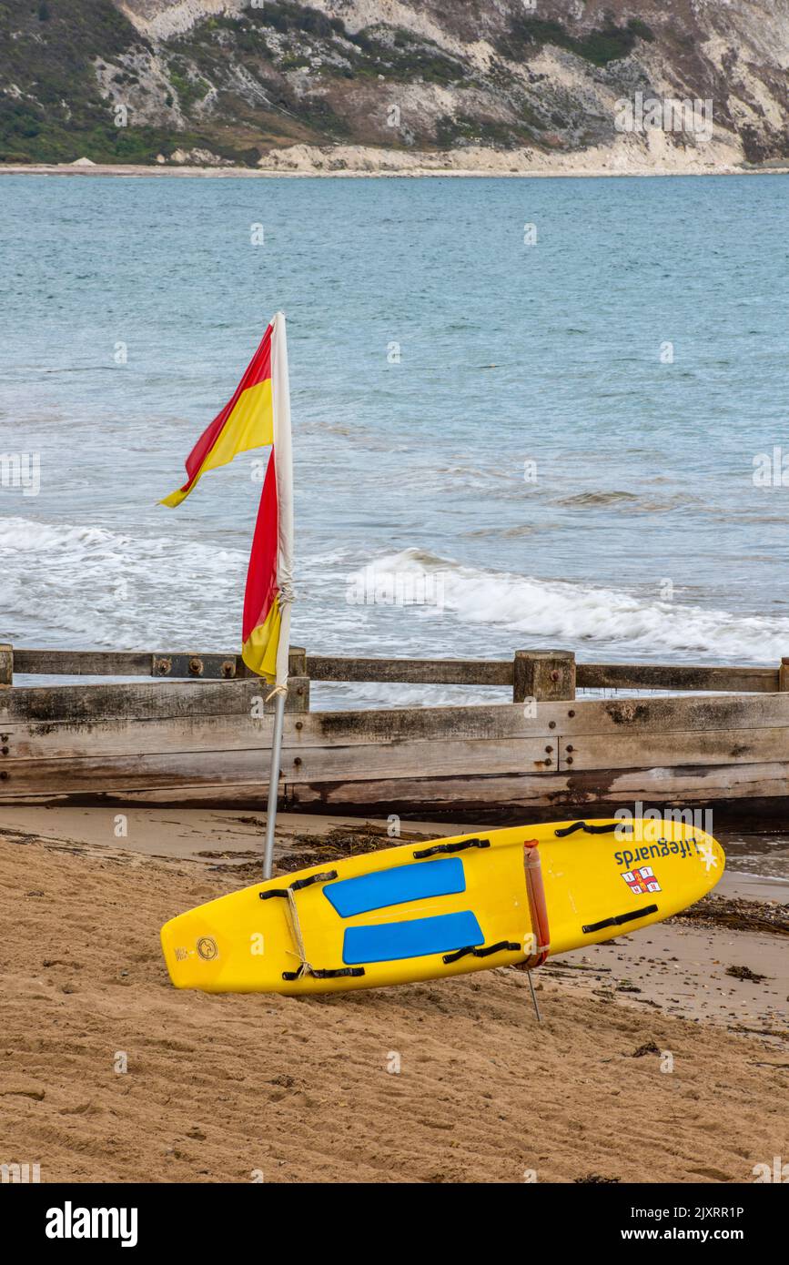 lifeguards float or surfboard on the beach next to safe swimming flags