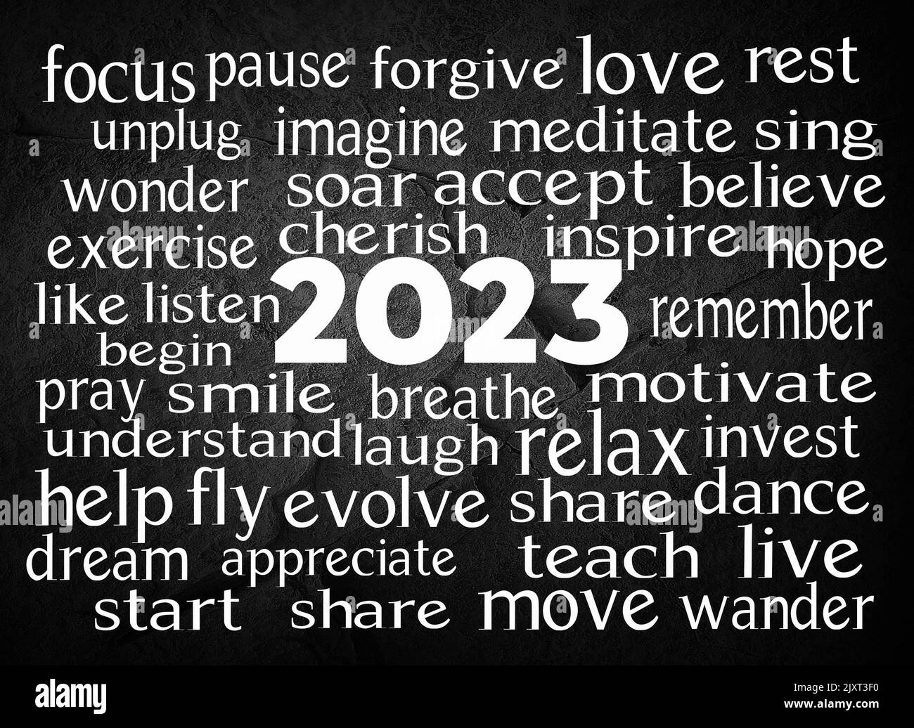 What is 2023 word of the year image to u