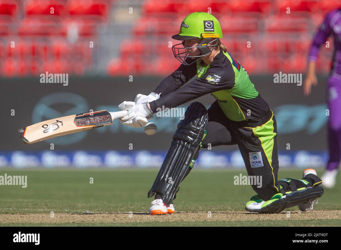 Rachael Haynes of the Thunder batting between the Sydney Thunder and