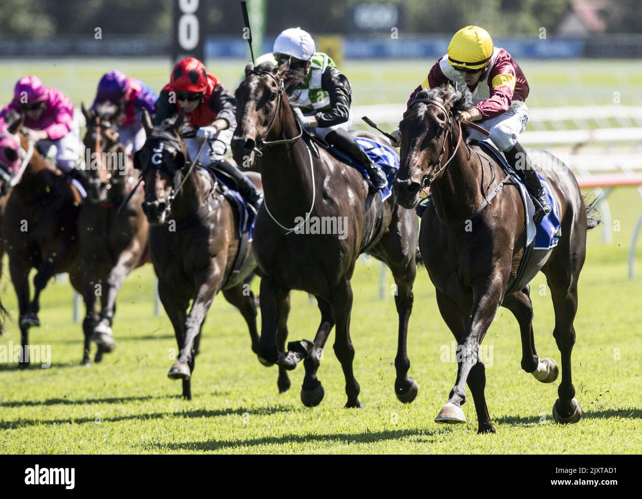 Jockey Jason Collett (right) rides Cyber Intervention to victory in