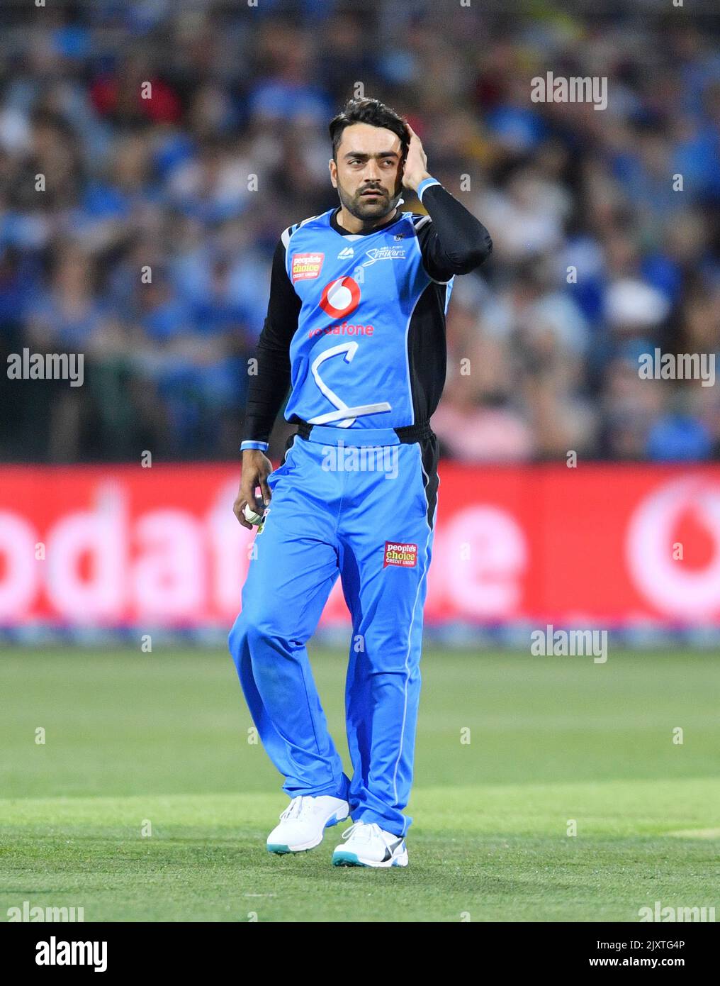 Rashid Khan of the Adelaide Strikers during the Big Bash League (BBL) match between the Adelaide Strikers and the Sydney Thunder at Adelaide Oval in Adelaide, Monday, December 31, 2018