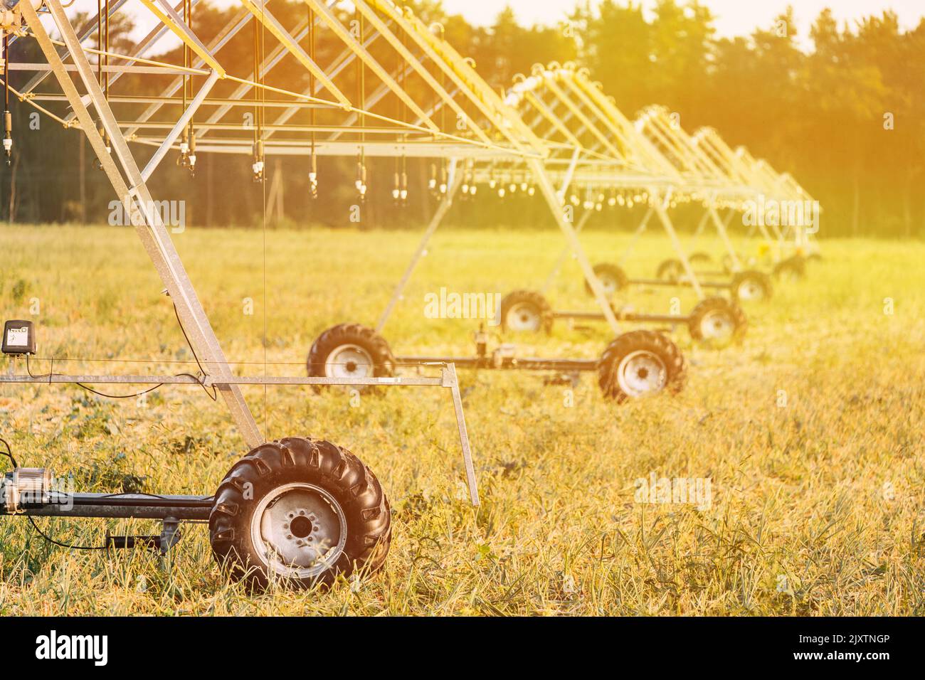 Irrigation Machine At Agricultural Field With Young Sprouts, Green
