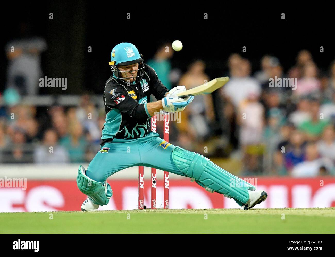Where to Bet Big Bash League (Bbl) in South Africa: Top Sites Revealed