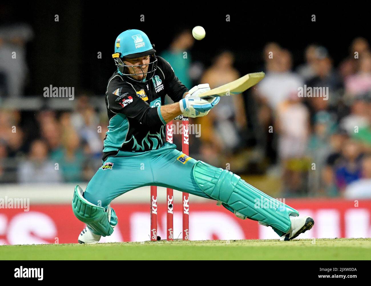 Where to Bet Big Bash League (Bbl) in New Zealand: Top Sites Revealed