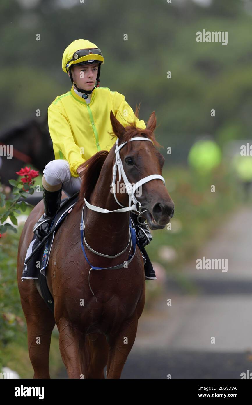 Jockey Robbie Dolan returns to scale after riding Sweet Scandal to