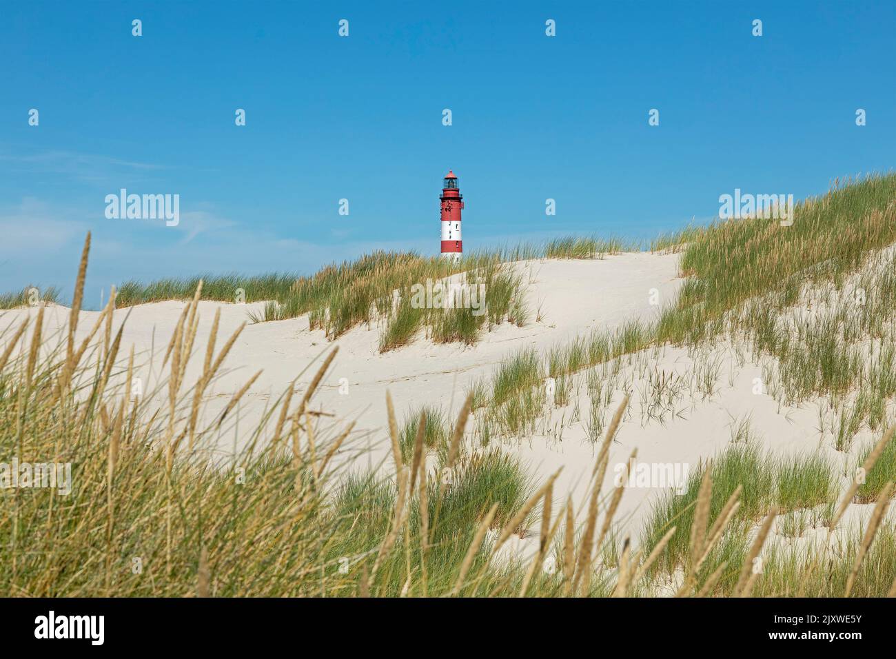 dunes, lighthouse, Amrum Island, North Friesland, Schleswig-Holstein, Germany Stock Photo